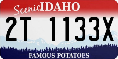 ID license plate 2T1133X