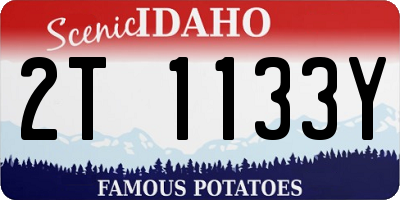ID license plate 2T1133Y