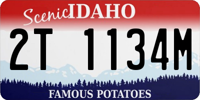 ID license plate 2T1134M