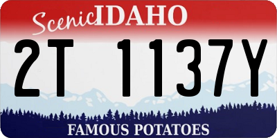 ID license plate 2T1137Y