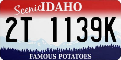 ID license plate 2T1139K