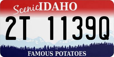 ID license plate 2T1139Q