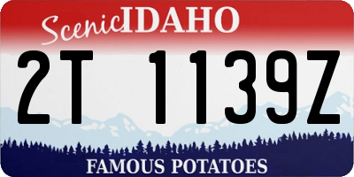 ID license plate 2T1139Z