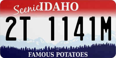 ID license plate 2T1141M