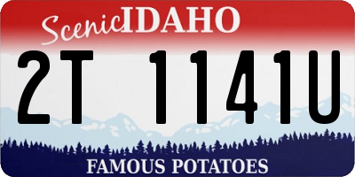 ID license plate 2T1141U