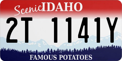 ID license plate 2T1141Y