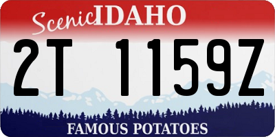 ID license plate 2T1159Z