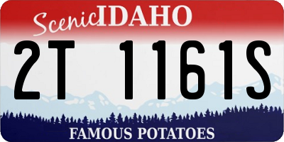 ID license plate 2T1161S