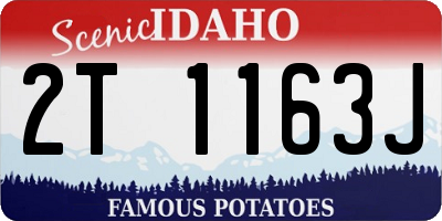 ID license plate 2T1163J