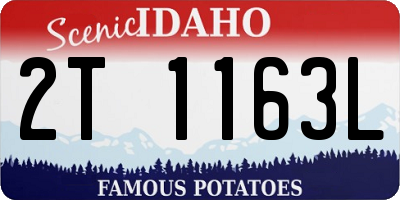 ID license plate 2T1163L