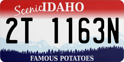 ID license plate 2T1163N