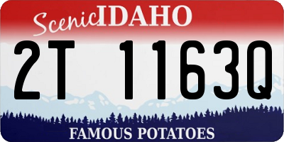 ID license plate 2T1163Q