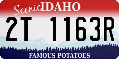 ID license plate 2T1163R