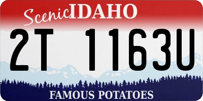 ID license plate 2T1163U