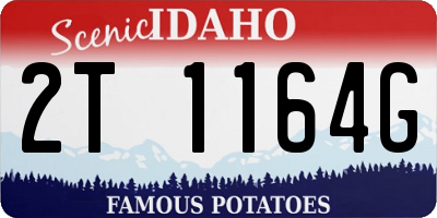 ID license plate 2T1164G