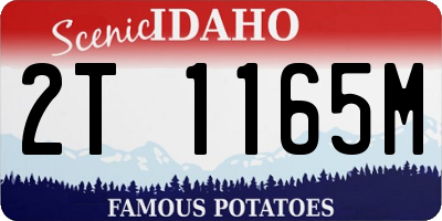 ID license plate 2T1165M