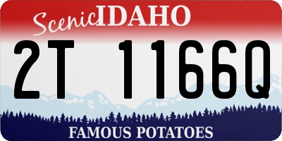 ID license plate 2T1166Q