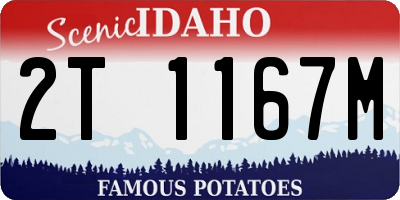 ID license plate 2T1167M