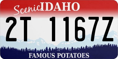 ID license plate 2T1167Z