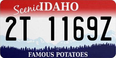 ID license plate 2T1169Z