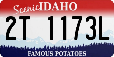 ID license plate 2T1173L