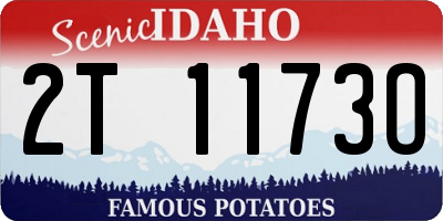 ID license plate 2T1173O
