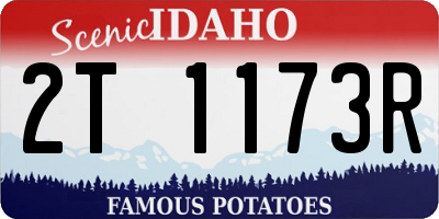 ID license plate 2T1173R