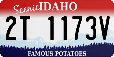 ID license plate 2T1173V