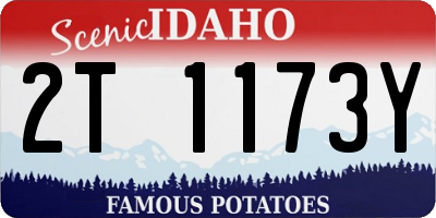 ID license plate 2T1173Y