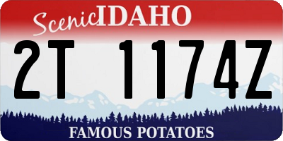 ID license plate 2T1174Z