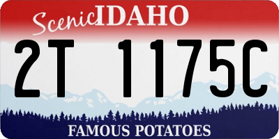 ID license plate 2T1175C