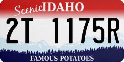 ID license plate 2T1175R