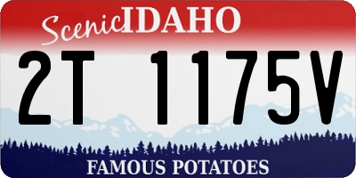 ID license plate 2T1175V