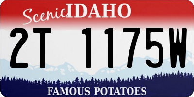 ID license plate 2T1175W