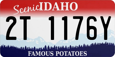 ID license plate 2T1176Y