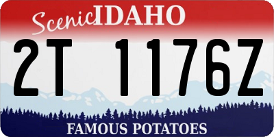 ID license plate 2T1176Z