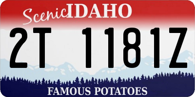 ID license plate 2T1181Z