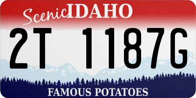 ID license plate 2T1187G