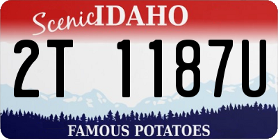 ID license plate 2T1187U