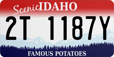 ID license plate 2T1187Y