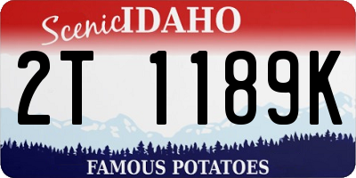 ID license plate 2T1189K
