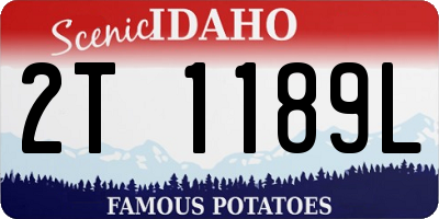 ID license plate 2T1189L