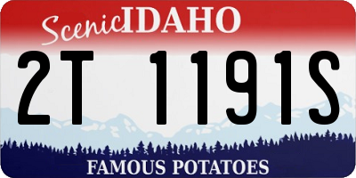 ID license plate 2T1191S