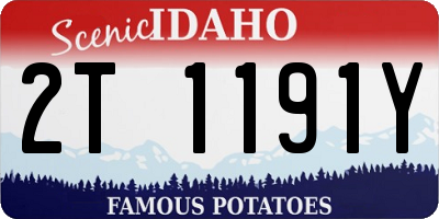 ID license plate 2T1191Y
