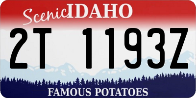 ID license plate 2T1193Z