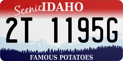 ID license plate 2T1195G