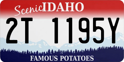 ID license plate 2T1195Y