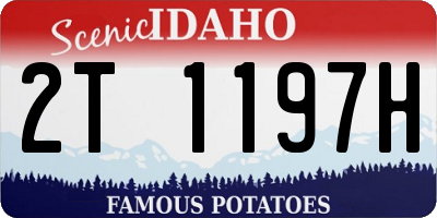 ID license plate 2T1197H