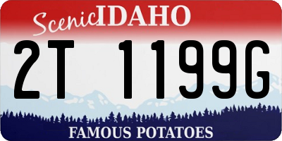 ID license plate 2T1199G