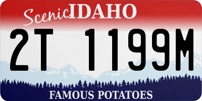 ID license plate 2T1199M